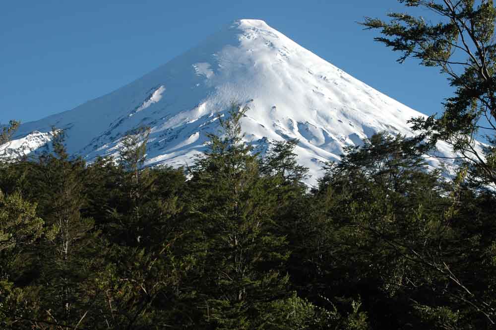 62 - Chile - parque nacional Vicente Perez Rosales, volcan Osorno